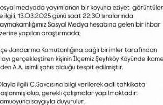 Küçükbaş hayvana eziyet eden kişi tepki çekti