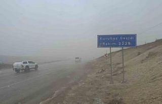 Kurubaş Geçidi’nde kar yağışı ve sis etkili...