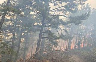 Kütahya’da orman yangını