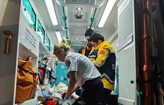 Kuzey Makedonya’daki yangında yaralanan 9 kişi...