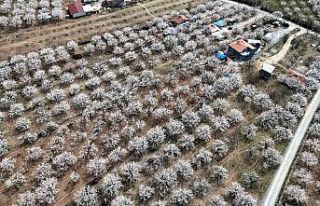 Malatya beyaz gelinliğini giydi
