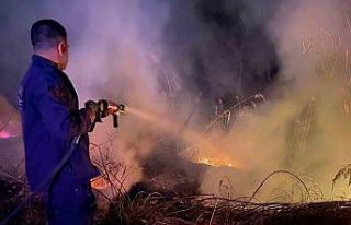 Malatya’da bahçe yangını