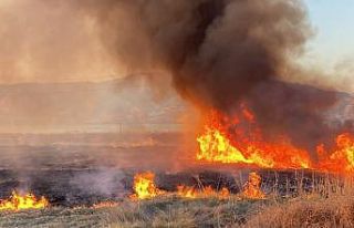 Malatya’da onlarca dönümlük alanda korkutan yangın