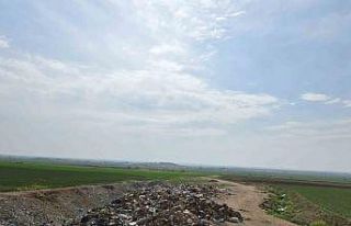 Mardin Büyükşehir Belediyesi, DEM Partili Nusaybin...