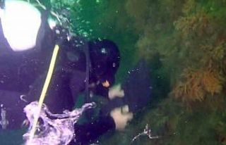 Marmara’da müsilaj tehlikesi devam ediyor