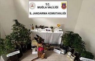 Marmaris’te uyuşturucu operasyonu: 1 tutuklama