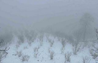 Mart kapıdan baktırdı, kazma kürek yaktırdı