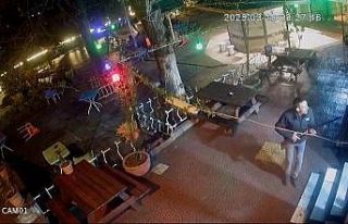 Meclis üyesi adayının silahlı saldırıda öldürülmesinin...