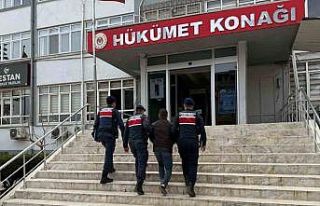 Mersin’de 16 hayvanı çalan şüpheli yakalanıp...