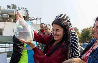 Mersin’de kadınlar haşere mücadelesi için lepistes...