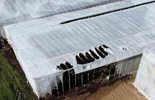 Mersin’de yangın nedeniyle 2 sera zarar gördü