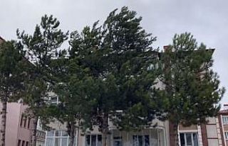 Meteorolojiden Çankırı için kuvvetli fırtına...