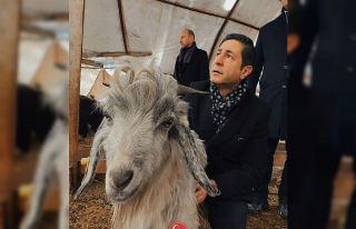 Milletvekili Bulut: "Biz bu ülkenin hayvanına,...