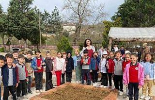 Minik eller toprağı filizlendirdi