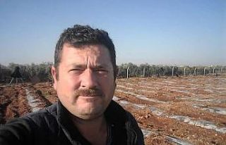 Miras kavgasında kardeşini öldürdü