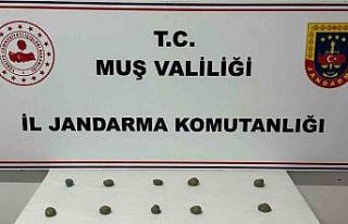 Muş’ta 206 şahıs yakalandı