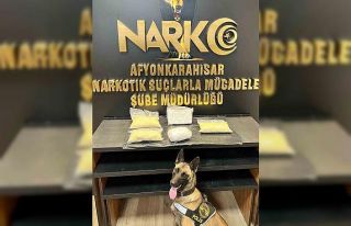 Narkotik köpeğinin uyuşturucuyu bulma anı polis...