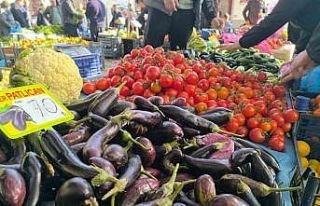 Olumsuz hava şartları patlıcan fiyatlarını yükseltti