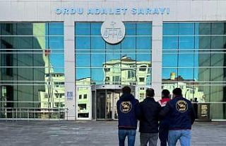 Ordu’da jandarma ekipleri, bir haftada 32 bin 792...