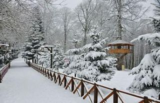 Ordu’nun 17 ilçesinde eğitime kar engeli