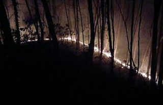 Ormanlık alan alev alev yandı: 6 dönüm arazi zarar...