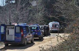 Ormanlık alanda park halindeki kamyonette başından...