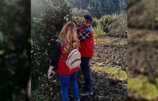 Ortaca’da meyve bahçelerinde zarar tespit çalışmaları...