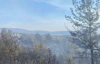 Osmaniye’nin Düziçi ilçesinde çıkan orman yangını...