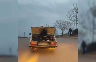Otomobil bagajında yolculuk