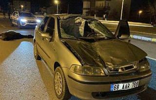 Otomobil başıboş ata çarptı: Sürücü yaralandı,...