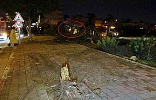 Otomobil kaldırıma çarpıp bahçeye uçtu, polis...