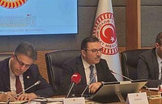 Rehberlik ve Teftiş Başkanı Aktürk: "Yangın...