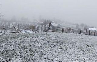 Sakarya’nın yüksek kesimleri beyaza büründü