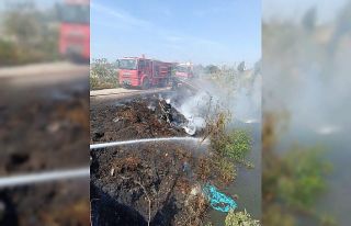 Samandağ’da kamışlık alanda yangın çıktı