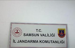 Samsun’da 130 adet sikke ele geçirildi