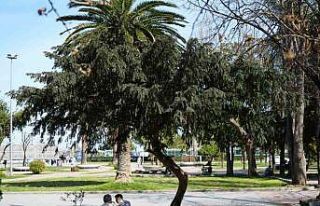 Samsun’da hava sıcaklığı mevsim normallerinin...
