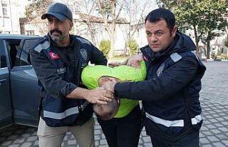 Samsun’daki vahşetin zanlısı tutuklandı