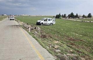 Şanlıurfa’da hafif ticari araç şarampole devrildi:...