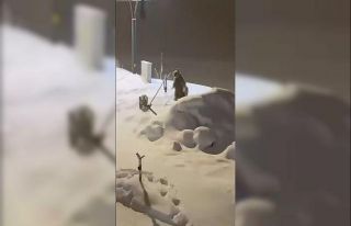 Sarıkamış’ta anne ve yavru ayılar görüntülendi