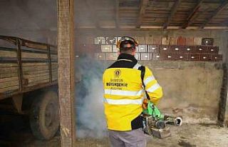 SBB’den kokarcaya karşı kışlak mücadelesi