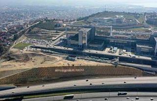 Şehir hastanesi bağlantı yoluna 200 Himalaya sediri...