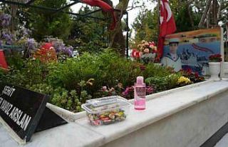 Şehit kabirlerine şeker ve kolonya bırakıldı