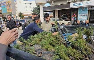 Sındırgı’da Ormancılık haftası için fidan...