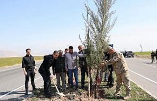 Şırnak Şerafettin Elçi Havalimanı’nda ağaçlandırma...