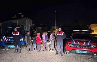 Sisam Adası’na yüzerek geçmeye çalışan düzensiz...