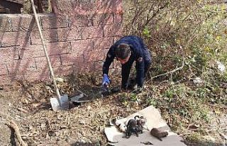 Sulama kanalında mahsur kalan yavru köpekleri itfaiye...