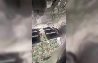 Sultanbeyli’de uyuşturucu operasyonu: Evi seraya...