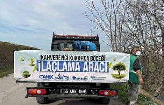 Tarımın düşmanı kokarcayla ilaçlı müdahale