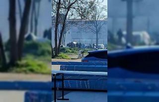 Taşlı sopalı kavga kamerada