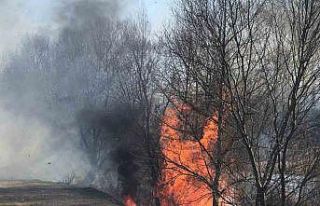 Taşova’da Yeşilırmak’ın kıyısında yangın...